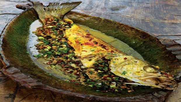 Fish with Pistachio, Fresh Herb and Barberry Stuffing By Najmieh Batmanglij